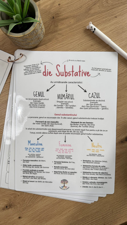 Fișe vizuale pentru învățarea limbii germane - Lernposter