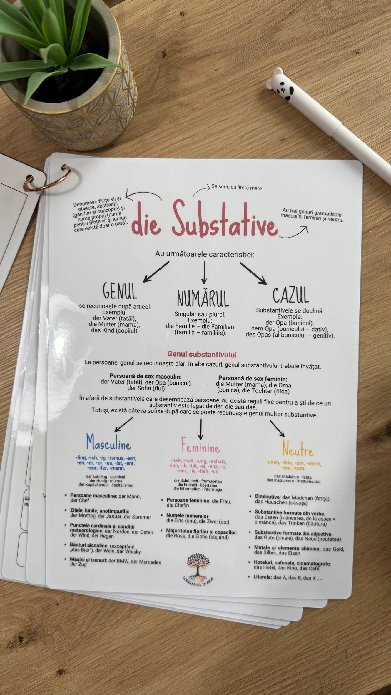 Fișe vizuale pentru învățarea limbii germane - Lernposter