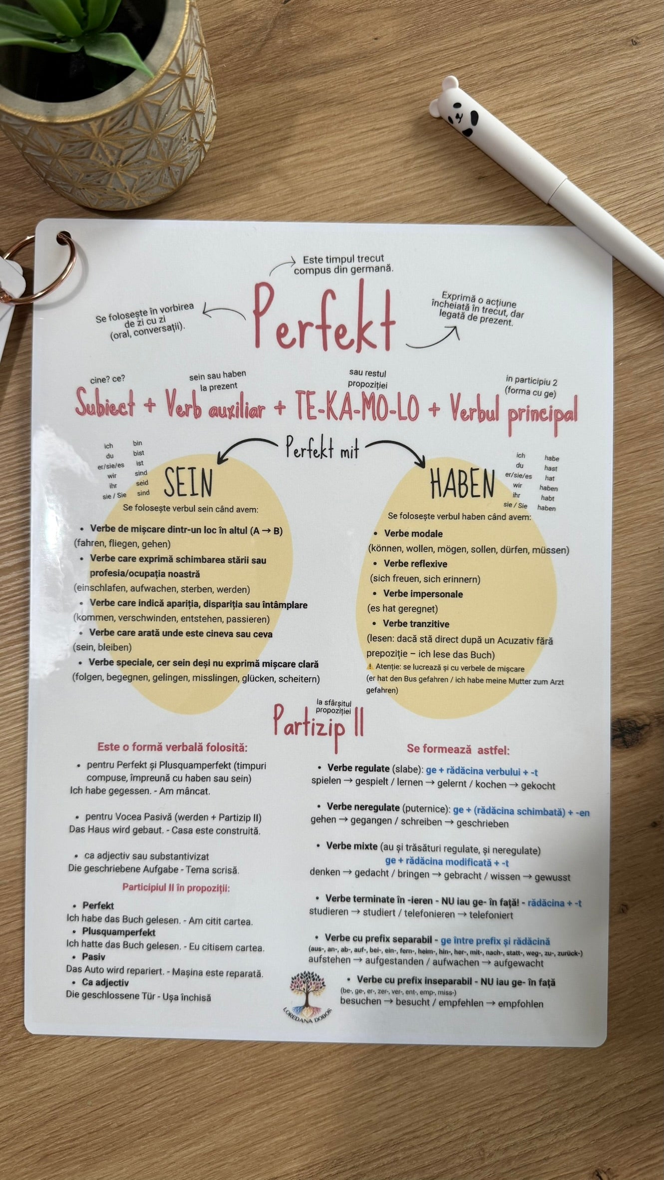 Fișe vizuale pentru învățarea limbii germane - Lernposter