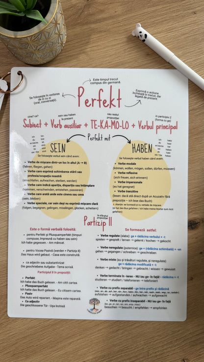 Fișe vizuale pentru învățarea limbii germane - Lernposter