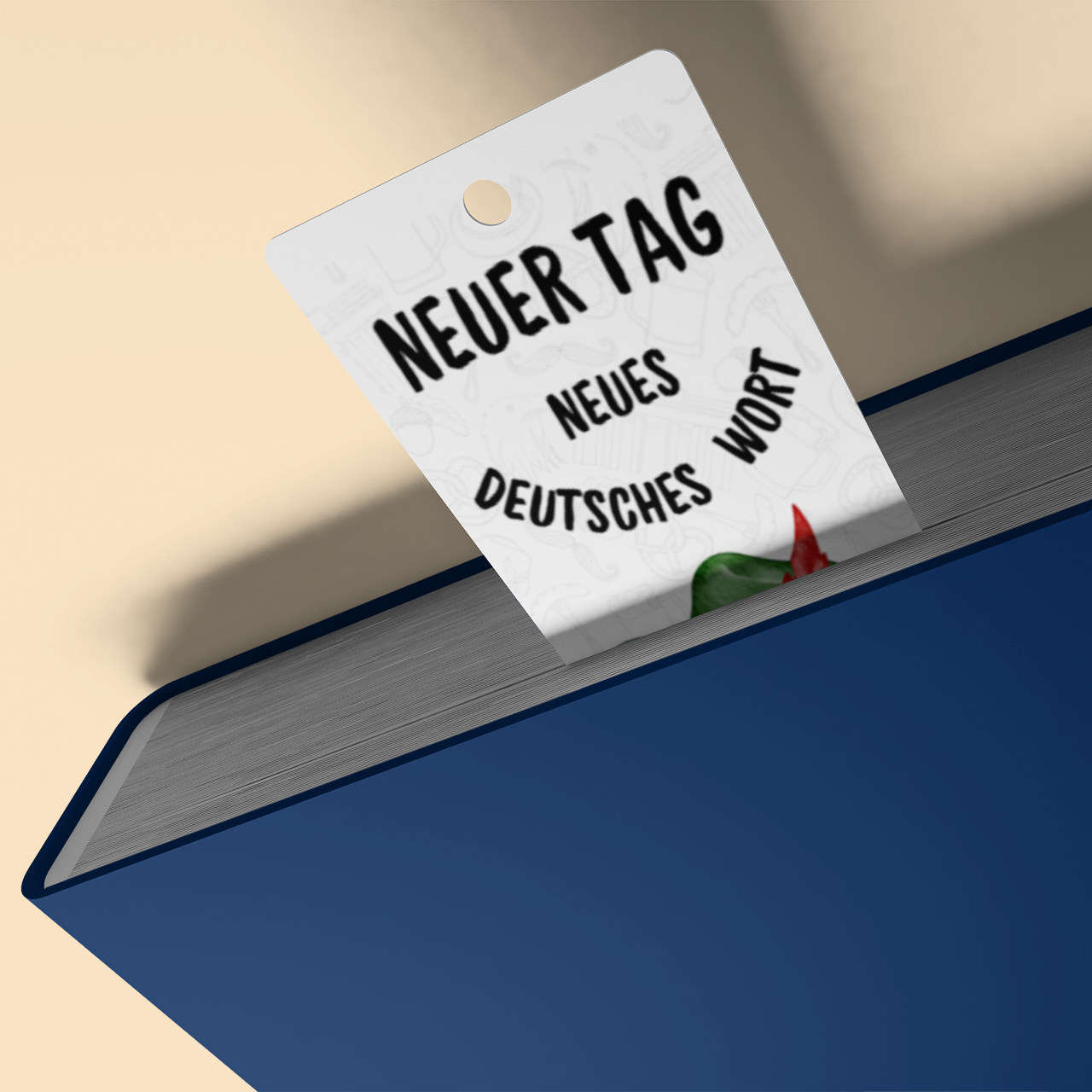 Semne de Carte Educaționale – (Der/Die/Das, Plural, Vocabular)